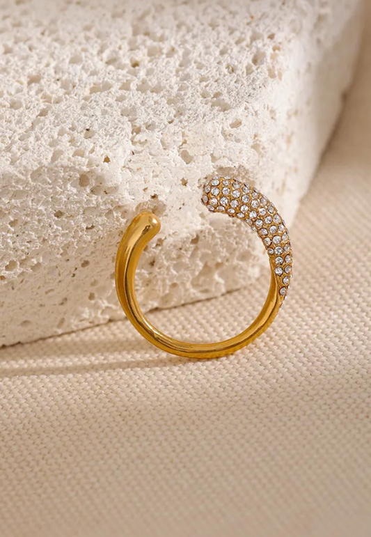Dorothy Pave Ring